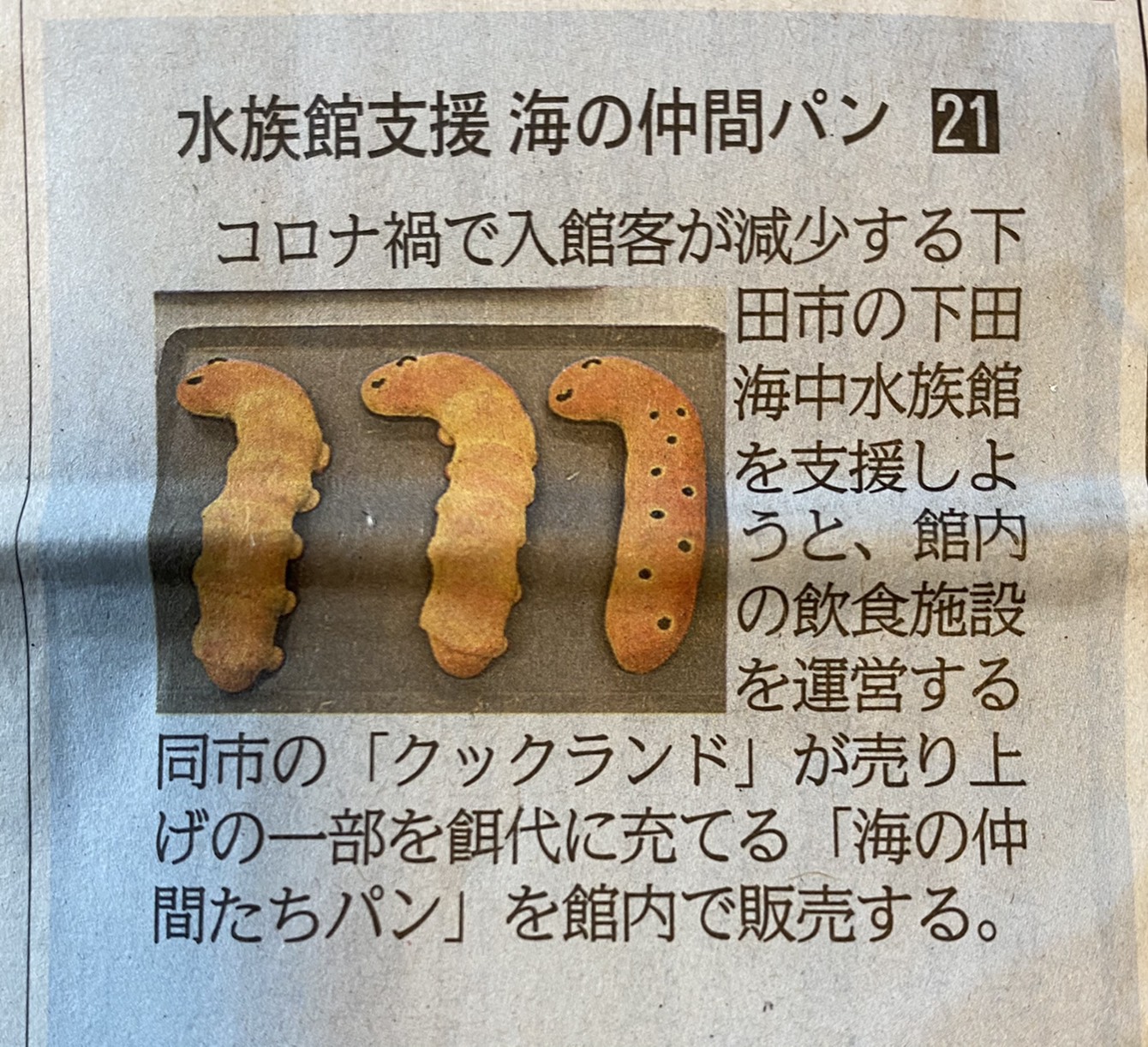 下田海中水族館で「海の仲間たちパン」を販売開始｜イズソラベーカリー様
